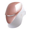 PLATINUM LED MASK